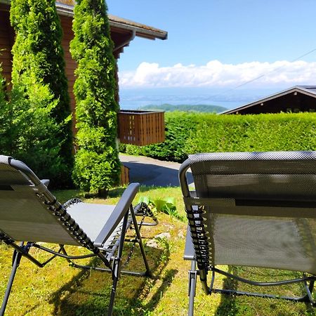 Chalet La Trouvaille Thollon-les-Memises Dış mekan fotoğraf